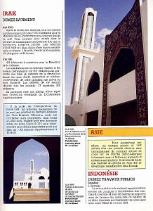 DUMEZ- 1984- 22